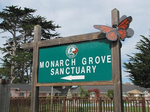 monarch-sanctuary-sign